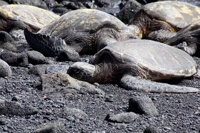 Private Tour in Hilo Island of Hawaii - What Sets This Tour Apart: Personalization and Iconic Sites