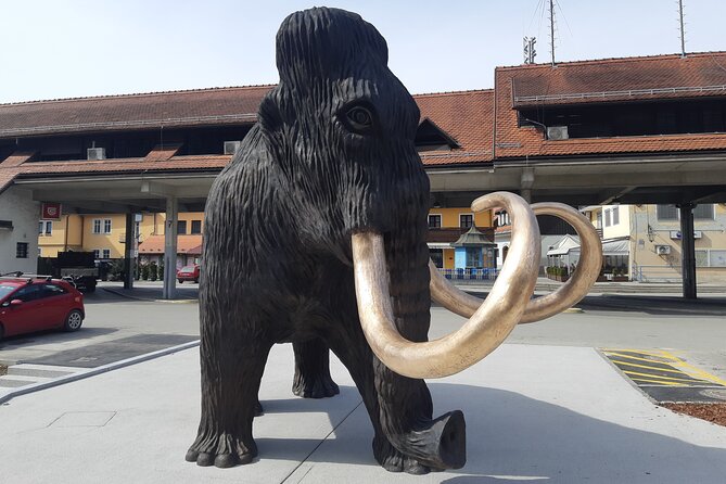 Private Tour in Kamnik - Mammoth - Farmhouse and Organic Farm - Visiting the 500-Year-Old Vodiskar Farmhouse and Museum