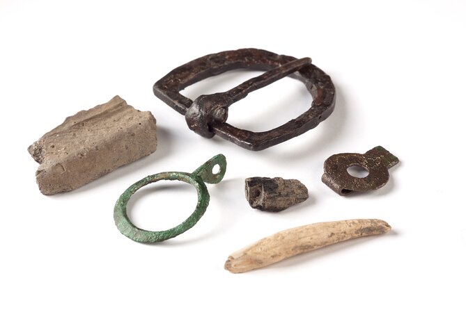 Private Tour in Kamnik - Mammoth - Farmhouse and Organic Farm - Visiting the Farm Animals and Egg Collection