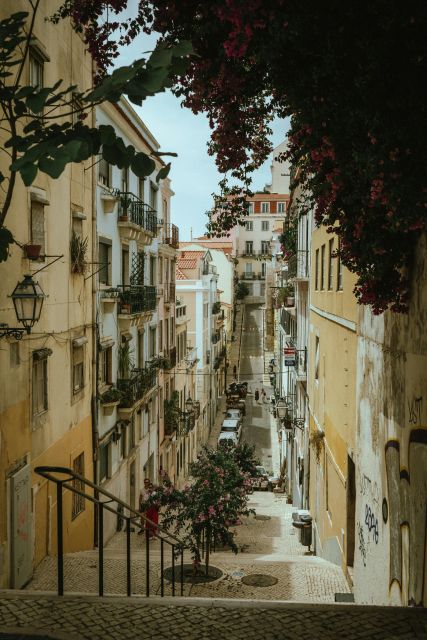 Private Tour in Lisbon - Limitations and Review Insights