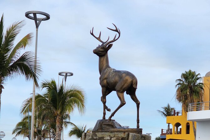 Private Tour in Mazatlan - Panoramic City Views from a High Point
