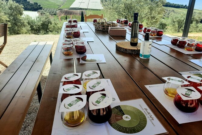 Private tour in Nafplio with Olive oil Tasting Tour in Corinth - Unique Aspects that Set This Tour Apart