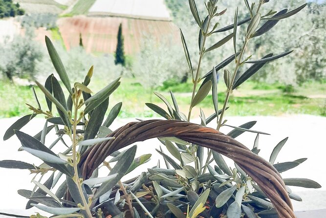 Private tour in Nafplio with Olive oil Tasting Tour in Corinth - Suitable Audience for This Tour