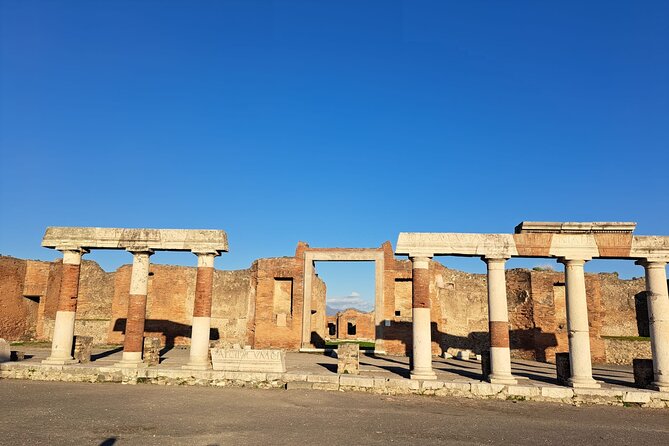 Private Tour in Pompeii and Vesuvius - Tasting the Flavors: Wine Lunch at a Vesuvian Vineyard