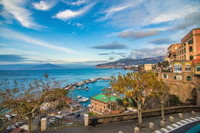 Private Tour in Pompeii Sorrento and Positano - Scenic Drive from Naples to Pompeii and Return