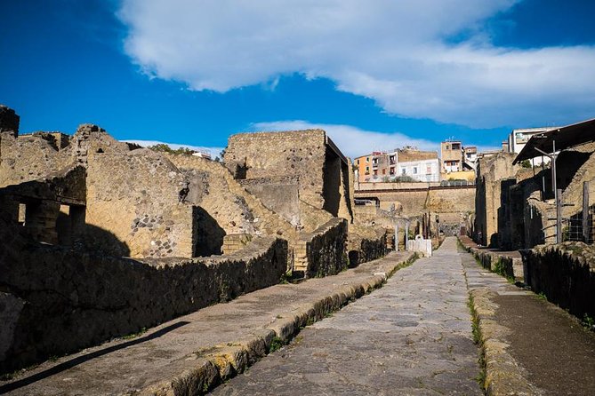 Private Tour in Pompeii with Wine and Lunch option on Vesuvius - Guides Who Make a Difference