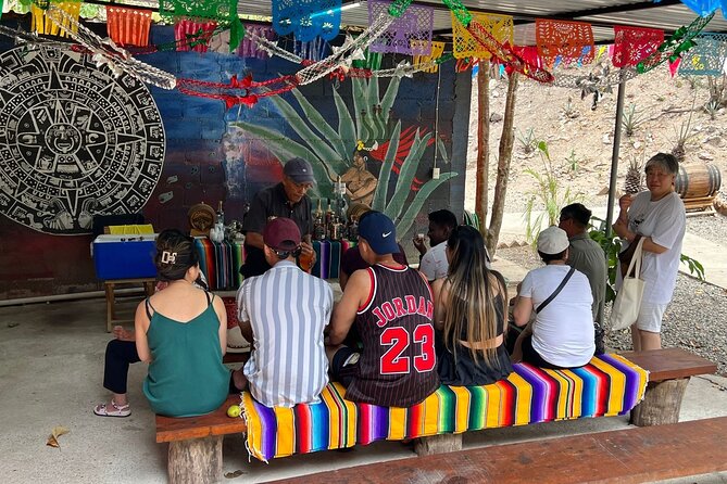 Private Tour in Puerto Vallarta - Key Points