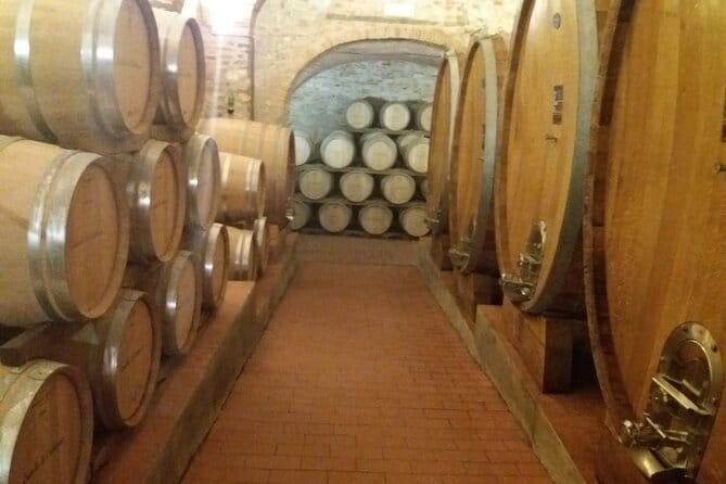 Private Tour in San Gimignano and Chianti Day Trip from Florence - Lunch and Wine Tasting at Poggio Amorelli in Chianti