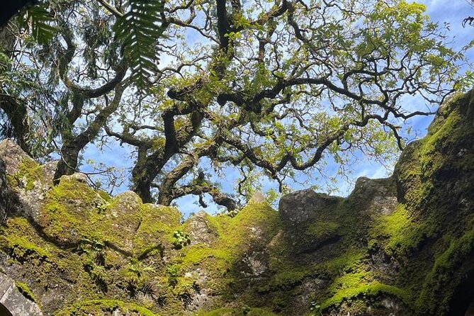 Private Tour in Sintra to the most iconic places in Sintra - Practicalities and Tour Flexibility