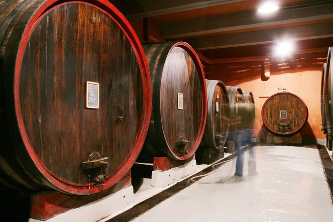 Private Tour in the Cellar and Tasting of Langhe Wines - Discover the Private Cellar and Tasting Tour of Langhe Wines in Turin