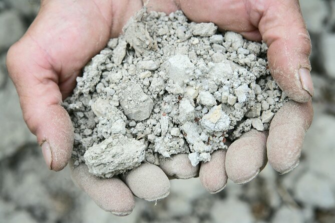 Private Tour in the Cellar and Tasting of Langhe Wines - Tasting Five Fine Wines with Expert Commentary