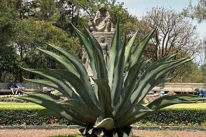 Private Tour in the Historic Center of CDMX and Chapultepec - Climbing to Chapultepec Castle with City Views
