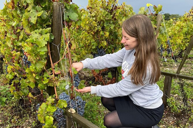 Private tour in the prestigious Médoc wine region - Comparing This Tour to Similar Bordeaux Experiences