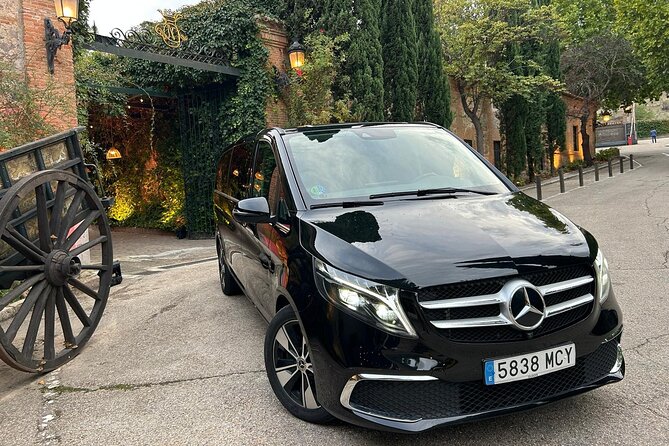 Private Tour in Toledo 5 hours with private guide and driver - Visiting El Grecos Masterpiece at Santo Tomé