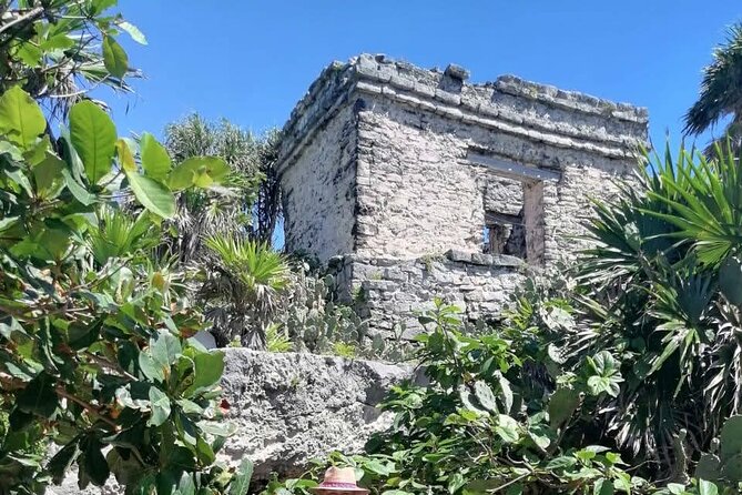 Private Tour in Tulum Ruins with Certified Guide - Why Choose This Tour Over Others?