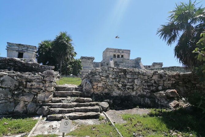 Private Tour in Tulum Ruins with Certified Guide - The Sum Up: A Focused, Private Visit to Tulums Famous Ruins