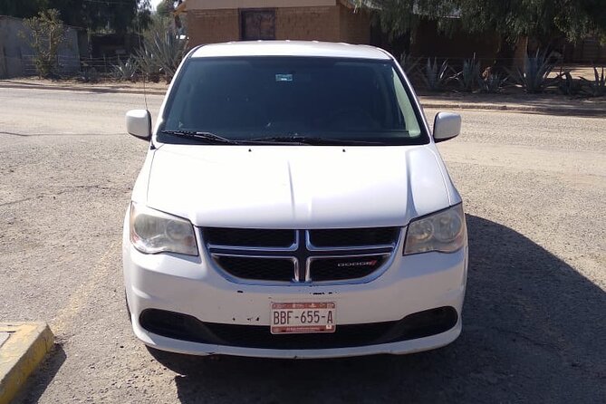 Private Tour in Valle De Guadalupe - Behind-the-Scenes at Baron Balche’s Underground Winery