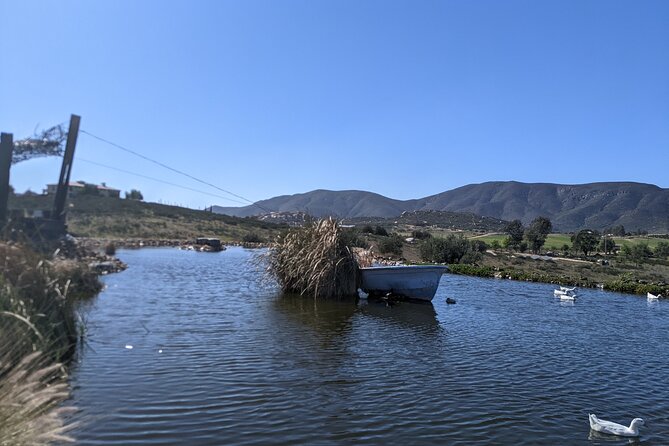 Private Tour in Valle De Guadalupe - Transportation and Logistics: Hassle-Free Day in Valle De Guadalupe