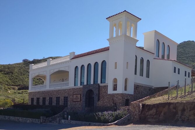 Private Tour in Valle De Guadalupe - What’s Not Included: Additional Expenses to Consider