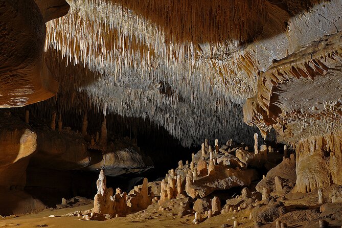 Private Tour into an Original Prehistoric Cave by EXPLOREO SARLAT - Accessibility and Physical Considerations