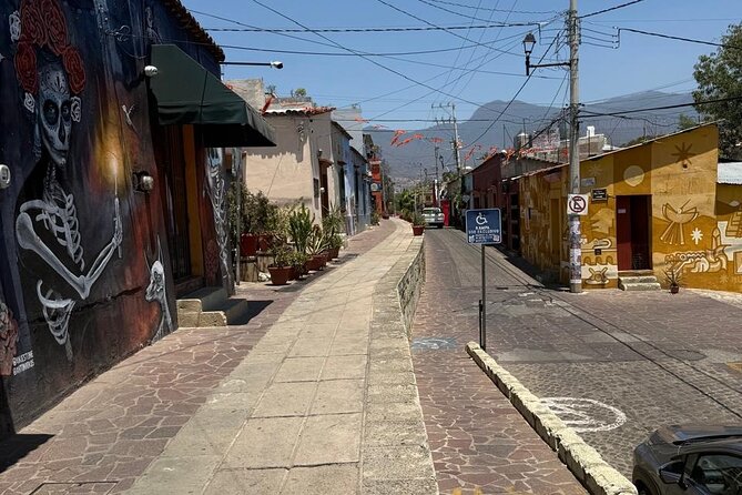 Private Tour Jalatlaco and Xochimilco in Oaxaca - Accessibility and Practical Tips