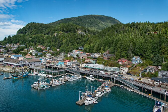 Private Tour Ketchikan City Totems & Wildlife - Discovering Native Art and Culture at Saxman Village