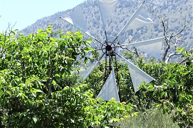 Private Tour-Knossos Palace Zeus Cave Olive Oil Mill & Wine - Introduction to the Crete Experience: Knossos and Beyond