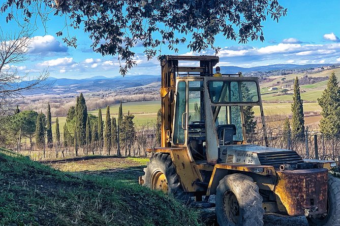 Private Tour: Montalcino Wine Tasting Experience - The Dining Experience: Lunch and Snacks Included