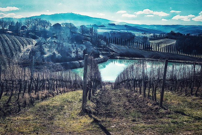 Private Tour: Montalcino Wine Tasting Experience - Pricing, Availability, and Booking Tips