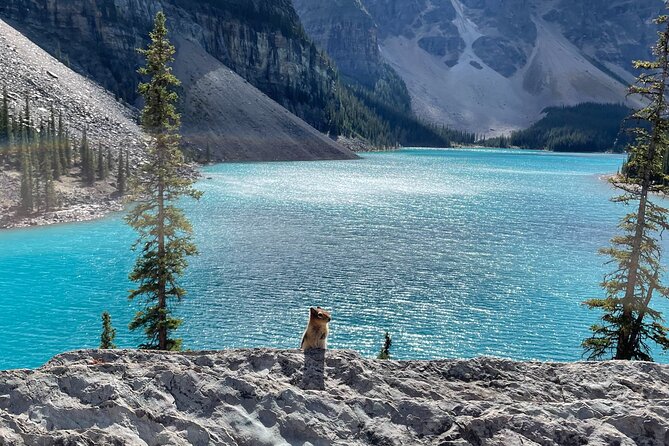 Private Tour Moraine Lake, Louise, Emerald & Johnston Canyon - Logistics: Meeting Points and Duration