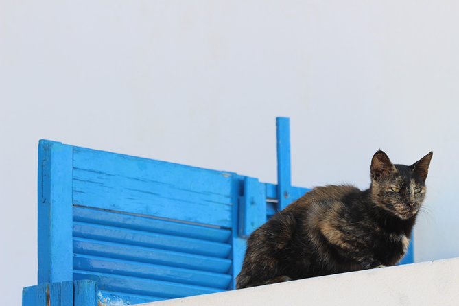 Private Tour: Mykonos Island in Half a Day - Stunning Views from Armenistis Lighthouse