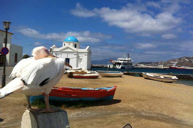 Private Tour: Mykonos Island in Half a Day - Visiting the Church of Paraportiani