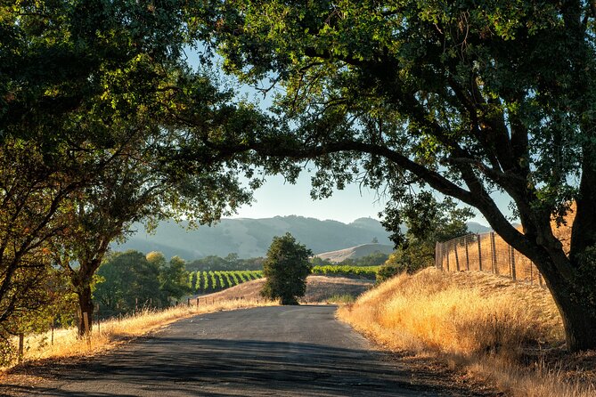 Private Tour Napa and Sonoma Valley Wine - Key Points