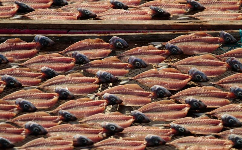 Private Tour - Nazaré Waves and Village from Lisbon - Savor Delicious Seafood Lunch in Nazaré