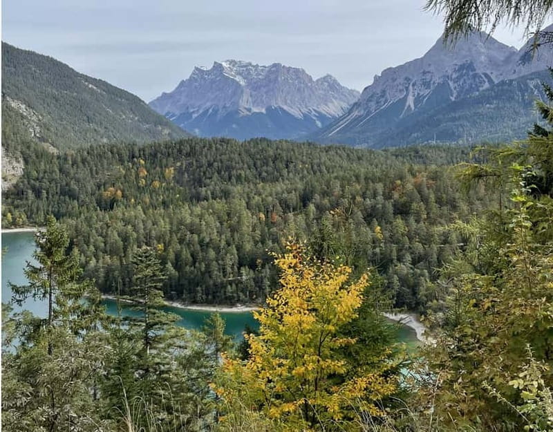 Private tour: Neuschwanstein castle and Alps from Innsbruck - Practical Details: Transportation, Tickets, and Accessibility