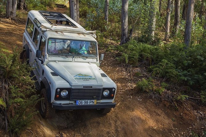 Private Tour: Nun's Valley & Sea Cliff - Half Day Jeep Tour - Experience the Beauty of Madeira on a Private Half-Day Jeep Tour