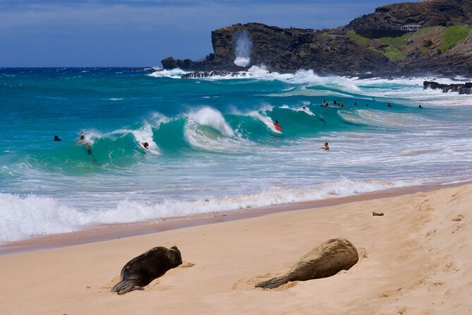Private Tour Oahu-Full or Half Day-Customizable-Circle Island - Exploring Oahu with a Private, Customizable Itinerary