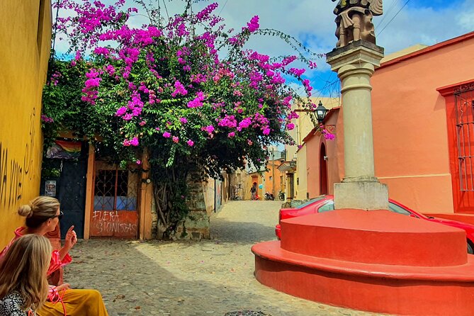 Private Tour Oaxaca City 2 hours - Best Rated - Practical Details and Tour Logistics