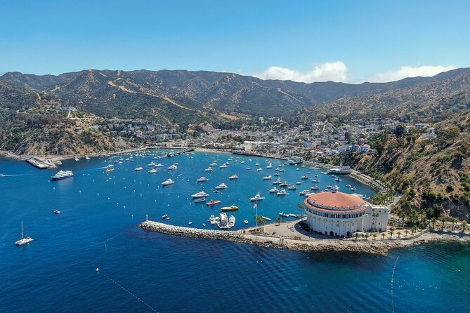 Private Tour of Avalon from Catalina Island - Free Time for Personal Exploration in Avalon