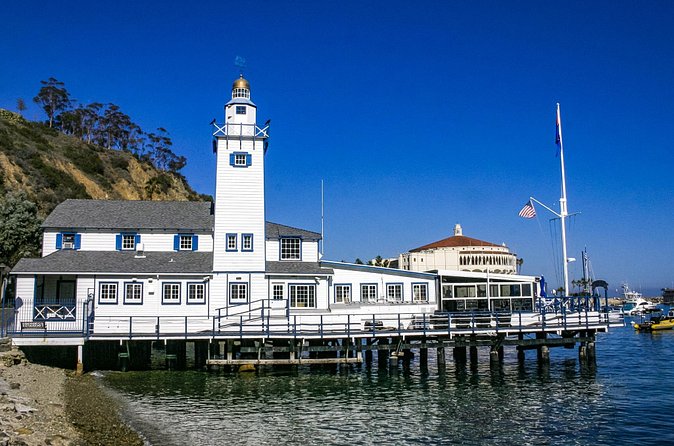 Private Tour of Avalon from Catalina Island - What’s Not Included and Important to Know