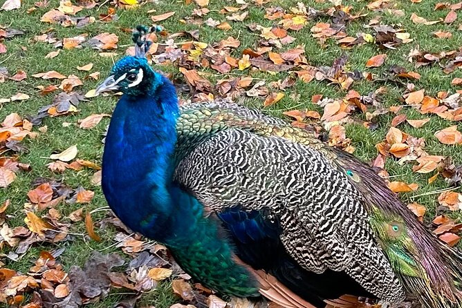 Private Tour of Beautiful Victoria in Luxury Van - Photo Opportunity at Mile Zero and Terry Fox Statue