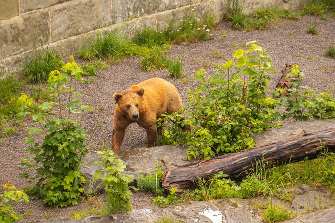 Private Tour of Bern in 60 minutes with a Local - Personalized Recommendations and Adaptive Itinerary