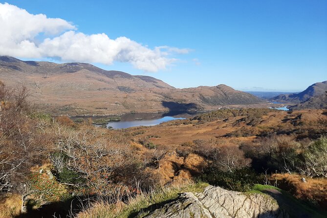 Private tour of, Blarney Castle, Cork City and Kinsale - Logistics and Practical Details