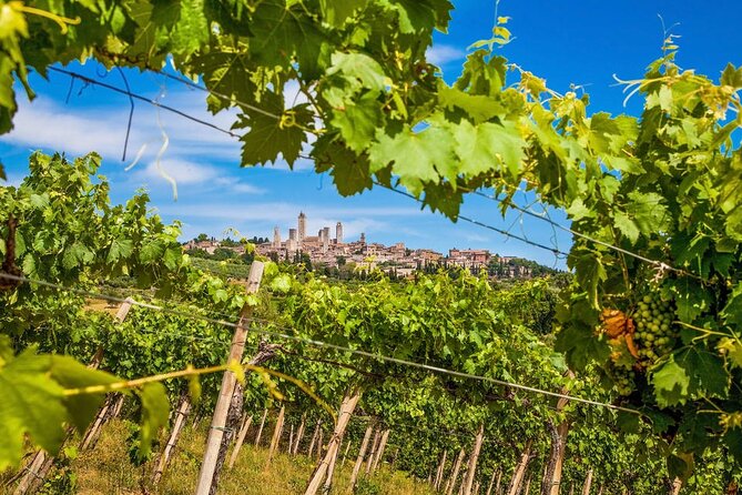 Private Tour Of Chianti with Wine Tastings - The Grandeur of Siena’s Piazza del Duomo