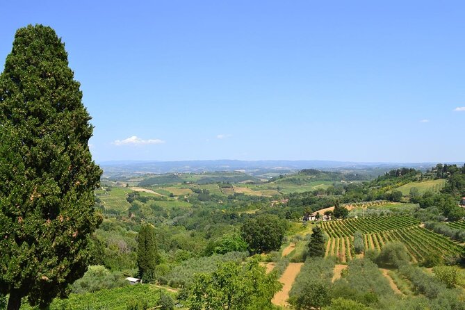 Private Tour Of Chianti with Wine Tastings - Chianti’s Vineyards and Olive Oil Tasting