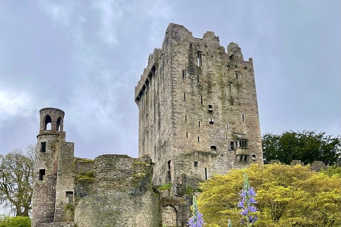 Private tour of Cobh, Blarney Castle,Jameson distillery. - Why Choose This Tour?