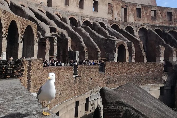 Private tour of Colosseo - Key Points