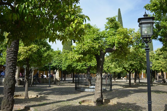 Private Tour of Cordoba Week Days 2 Hours Tickets included - Key Points