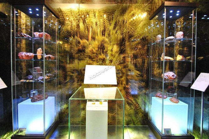 Private Tour of Gdansk Old Town for Kids and Families - The Artus Court and Its Renaissance Treasures