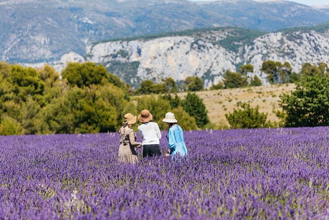 Private Tour of Gorges of Verdon and Fields of Lavender in Nice - Potential Drawbacks to Consider